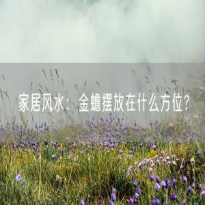 家居风水：金蟾摆放在什么方位？