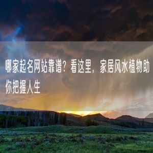 哪家起名网站靠谱？看这里，家居风水植物助你把握人生