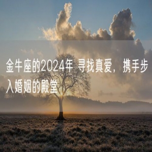 金牛座的2024年 寻找真爱，携手步入婚姻的殿堂