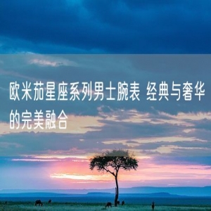 欧米茄星座系列男士腕表 经典与奢华的完美融合
