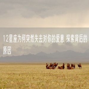 12星座为何突然失去对你的爱意 探索背后的原因