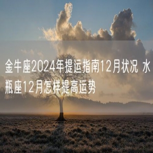 金牛座2024年提运指南12月状况 水瓶座12月怎样提高运势