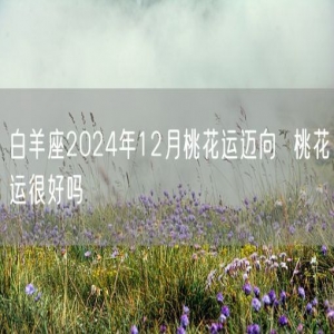 白羊座2024年12月桃花运迈向  桃花运很好吗