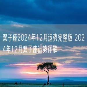 双子座2024年12月运势完整版 2024年12月双子座运势详解