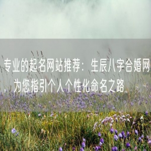 专业的起名网站推荐：生辰八字合婚网，为您指引个人个性化命名之路