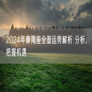 2024年摩羯座全面运势解析 分析，把握机遇