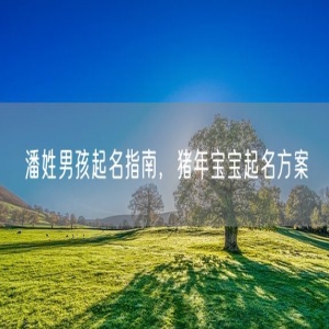 潘姓男孩起名指南，猪年宝宝起名方案