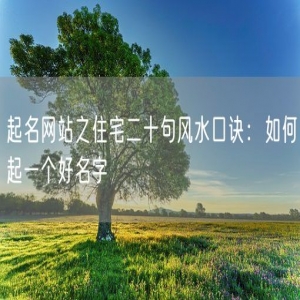 起名网站之住宅二十句风水口诀：如何起一个好名字