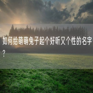 如何给萌萌兔子起个好听又个性的名字？