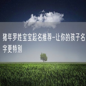 猪年罗姓宝宝起名推荐-让你的孩子名字更特别