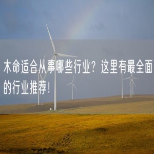木命适合从事哪些行业？这里有最全面的行业推荐！