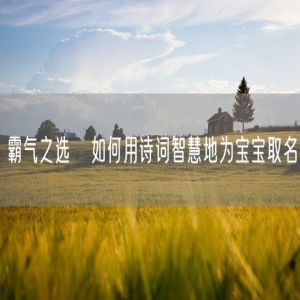 霸气之选   如何用诗词智慧地为宝宝取名