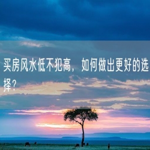 买房风水低不犯高，如何做出更好的选择？