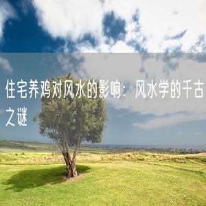 住宅养鸡对风水的影响：风水学的千古之谜