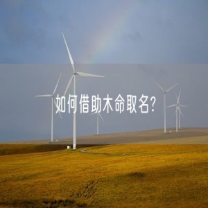 如何借助木命取名？