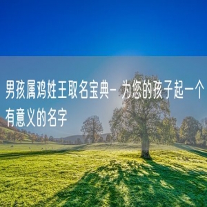 男孩属鸡姓王取名宝典- 为您的孩子起一个有意义的名字