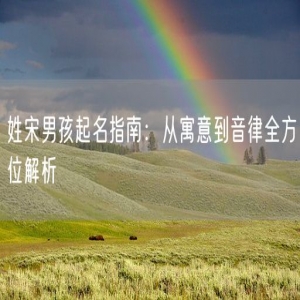 姓宋男孩起名指南：从寓意到音律全方位解析