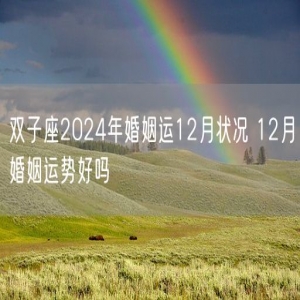 双子座2024年婚姻运12月状况 12月婚姻运势好吗