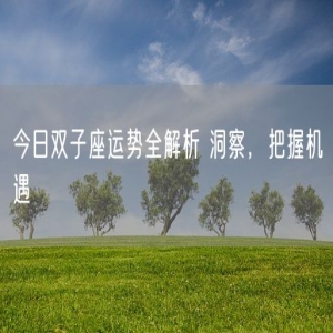 今日双子座运势全解析 洞察，把握机遇