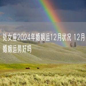 处女座2024年婚姻运12月状况 12月婚姻运势好吗