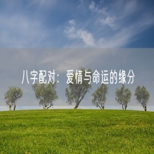 八字配对：爱情与命运的缘分