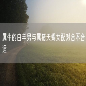 属牛的白羊男与属猪天蝎女配对合不合适