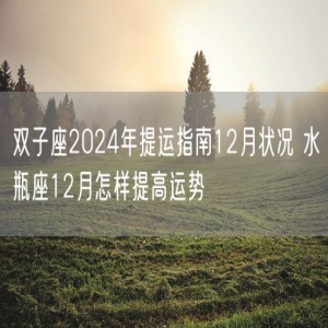 双子座2024年提运指南12月状况 水瓶座12月怎样提高运势