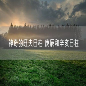 神奇的旺夫日柱 庚辰和辛亥日柱