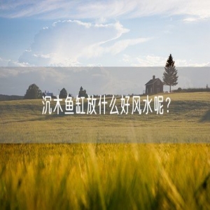 沉木鱼缸放什么好风水呢？