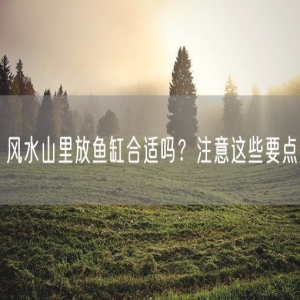 风水山里放鱼缸合适吗？注意这些要点