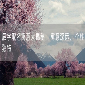 辰字取名寓意大揭秘：寓意深远，个性独特