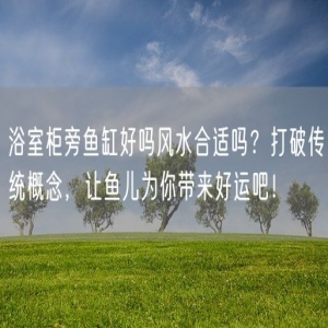 浴室柜旁鱼缸好吗风水合适吗？打破传统概念，让鱼儿为你带来好运吧！