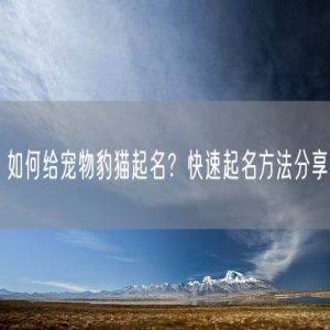 如何给宠物豹猫起名？快速起名方法分享