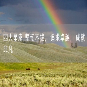 四大星座 坚韧不拔，追求卓越，成就非凡