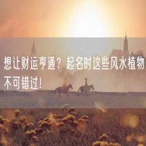 想让财运亨通？起名时这些风水植物不可错过！