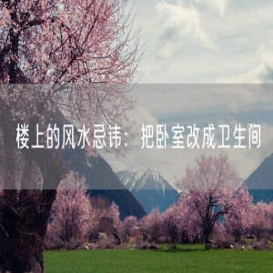 楼上的风水忌讳：把卧室改成卫生间
