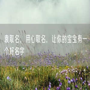 袁取名，用心取名，让你的宝宝有一个好名字