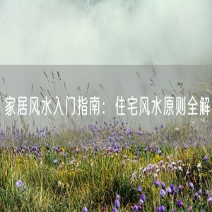 家居风水入门指南：住宅风水原则全解
