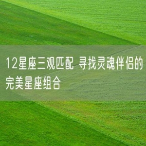 12星座三观匹配 寻找灵魂伴侣的完美星座组合