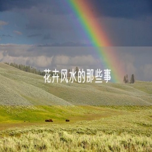 花卉风水的那些事