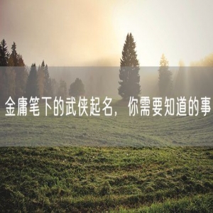 金庸笔下的武侠起名，你需要知道的事
