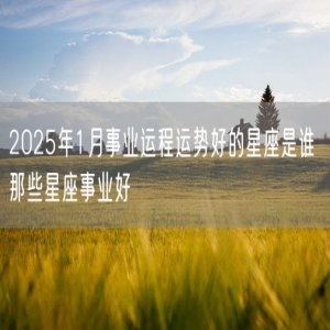 2025年1月事业运程运势好的星座是谁 那些星座事业好