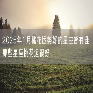 2025年1月桃花运势好的星座皆有谁 那些星座桃花运很好