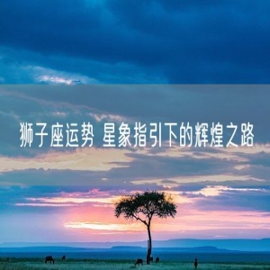 狮子座运势 星象指引下的辉煌之路