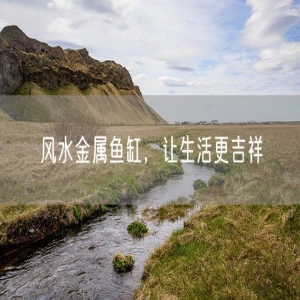风水金属鱼缸，让生活更吉祥