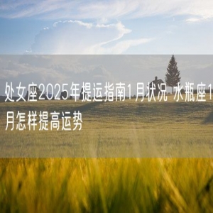 处女座2025年提运指南1月状况 水瓶座1月怎样提高运势