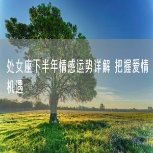 处女座下半年情感运势详解 把握爱情机遇