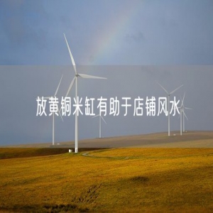 放黄铜米缸有助于店铺风水