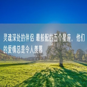 灵魂深处的伴侣 最般配的五个星座，他们的爱情总是令人羡慕