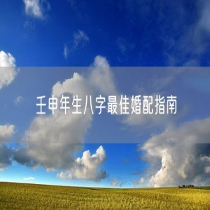 壬申年生八字最佳婚配指南